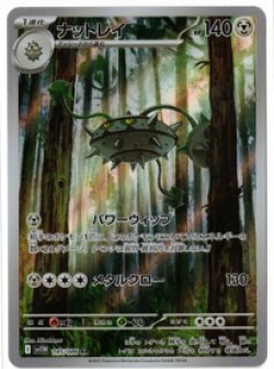 画像1: 【sv11W】ナットレイ【AR】