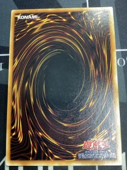 画像6: 千年竜  シークレットレア  状態NM-【実物写真】