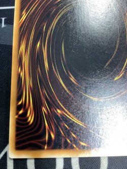 画像10: 千年竜  シークレットレア  状態NM-【実物写真】