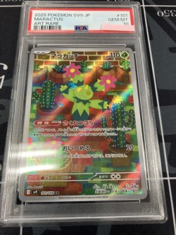 画像1: 【sv9】【PSA10】マラカッチ【AR】【実物写真】