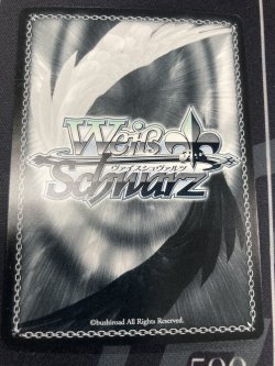 画像2: ラム【SRパラレル】【実物写真】