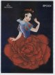 SNOW WHITE【2025 EPOCH Collection Cards 】