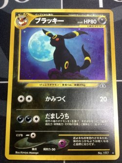 画像1: ブラッキー Lv40  状態VG【実物写真】