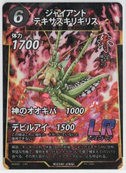 画像1: ジャイアントテキサスキリギリス【LR】【蟲神器】状態NM-