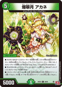 画像1: 爆翠月 アカネ【R】