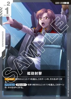画像1: 艦砲射撃【C】
