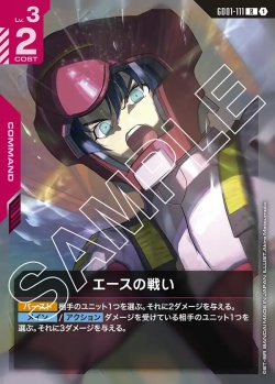 画像1: エースの戦い【R】