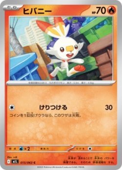 画像1: 【M1L】ヒバニ―【C】