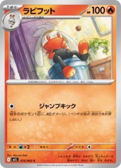 画像1: 【M1L】ラビフット【C】