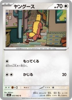 画像1: 【M1L】ヤング―ス【C】