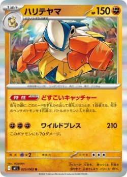 画像1: 【M1L】ハリテヤマ【R】