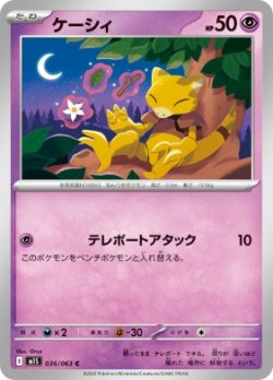 画像1: 【M1S】ケーシィ【C】