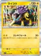 【M1S】ライコウ【R】