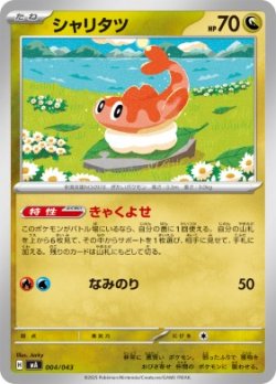 画像1: 【MA】シャリタツ