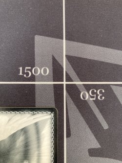 画像9: 【SSP】 “夏の思い出”識【箔押し青サイン】【サマーポケッツ】【実物写真】状態NM