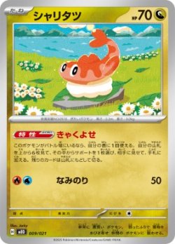 画像1: 【MBD】シャリタツ