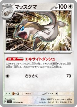 画像1: 【M2】マッスグマ【U】