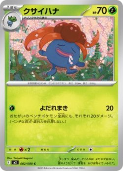 画像1: 【M2】クサイハナ【C】