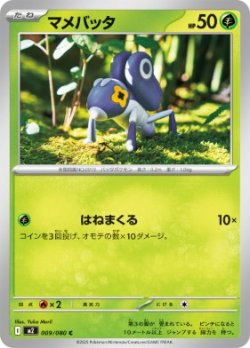 画像1: 【M2】マメバッタ【C】