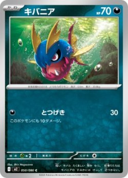 画像1: 【M2】キバニア【C】