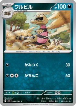 画像1: 【M2】ワルビル【C】
