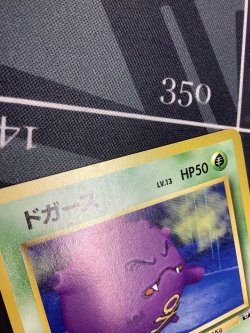 画像11: ドガース　ポケモンスナップベストフォトコンテスト　テレビ東京「６４マリオスタジアム」主催コンテスト【実物写真】