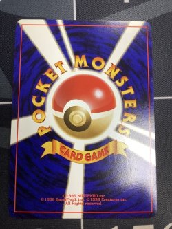 画像6: ドガース　ポケモンスナップベストフォトコンテスト　テレビ東京「６４マリオスタジアム」主催コンテスト【実物写真】