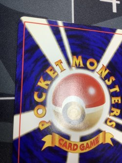 画像7: ドガース　ポケモンスナップベストフォトコンテスト　テレビ東京「６４マリオスタジアム」主催コンテスト【実物写真】