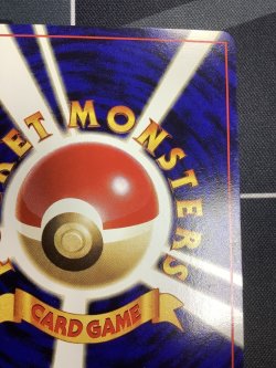 画像8: ドガース　ポケモンスナップベストフォトコンテスト　テレビ東京「６４マリオスタジアム」主催コンテスト【実物写真】