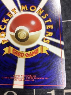 画像9: ドガース　ポケモンスナップベストフォトコンテスト　テレビ東京「６４マリオスタジアム」主催コンテスト【実物写真】