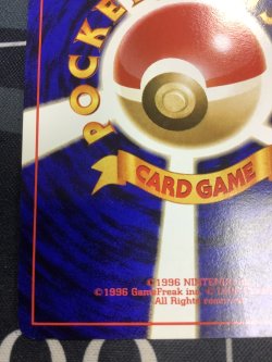 画像10: ドガース　ポケモンスナップベストフォトコンテスト　テレビ東京「６４マリオスタジアム」主催コンテスト【実物写真】