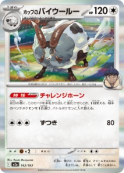 画像1: 【M2a】ホップのバイウール―【R仕様】