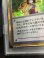画像5: 【PSA10】 エリカ (ポケモンカード クリーチャーズデッキ 25th クリエイター配布品)【実物写真】 (5)