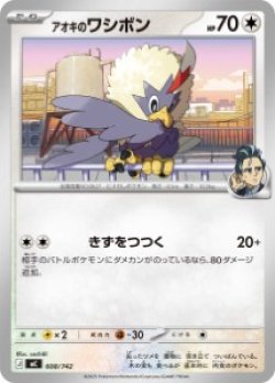 画像1: 【MC】アオキのワシボン【-】