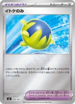 画像1: 【MC】イトケのみ【ミラー】