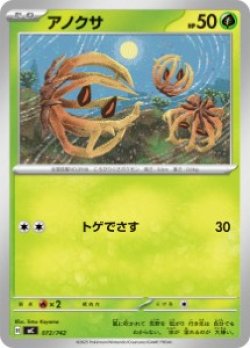 画像1: 【MC】アノクサ【-】