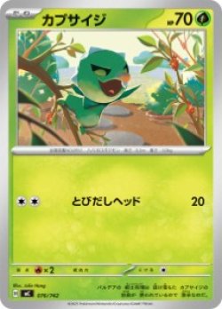 画像1: 【MC】カプサイジ【-】