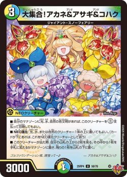 画像1: 大集合!アカネ&アサギ&コハク【U】