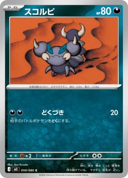 画像1: 【M3】スコルビ【C】