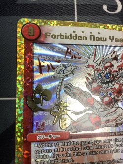画像2: ForbiddenNewYear 禁賀新年 プロモ 状態EX+【実物写真】