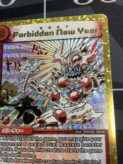 画像3: ForbiddenNewYear 禁賀新年 プロモ 状態EX+【実物写真】