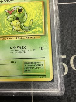 画像4: 【PSA9】キャタピー　初版 レアリティシンボルなし 第1弾  旧裏【実物写真】