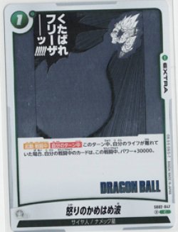 画像1: 怒りのかめはめ波【C】