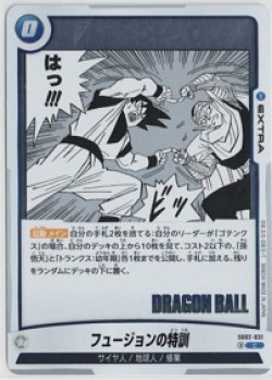 画像1: フュージョンの特訓【C】