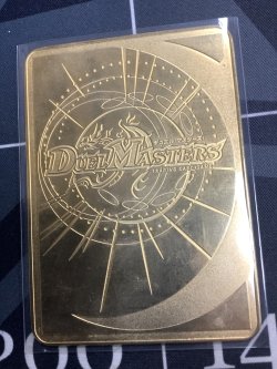 画像9: ガイアール・カイザー　【金プレート】 「ビクトリー1」　エリア代表決定戦1位 【実物写真】