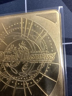 画像11: ガイアール・カイザー　【金プレート】 「ビクトリー1」　エリア代表決定戦1位 【実物写真】