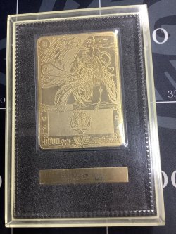 画像1: ガイアール・カイザー　【金プレート】 「ビクトリー1」　エリア代表決定戦1位 【実物写真】