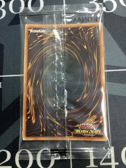 画像6: 青眼の白龍 スペシャル レッド (RED) Ver.　未開封  抽プレ 遊戯王ラッシュデュエル【実物写真】