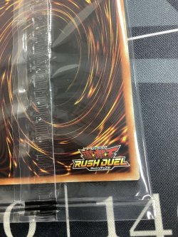 画像9: 青眼の白龍 スペシャル レッド (RED) Ver.　未開封  抽プレ 遊戯王ラッシュデュエル【実物写真】