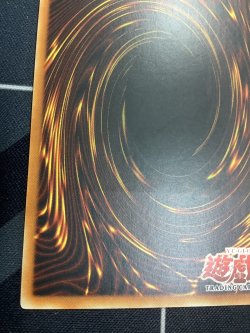 画像10: ELEMENTAL HERO WILDEDGE (E・HEROワイルド ジャギーマン)　アジア版 レリーフ 状態NM-【実物写真】